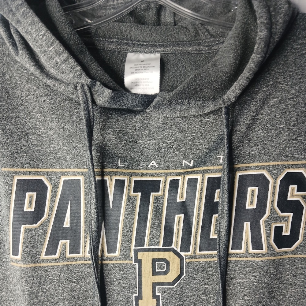 Panthers Hoodie Men Medium Gray Heathered Athletic Pullover Graphic Sweatshirt - Picture 2 of 4